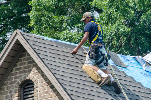 Best Storm Damage Roof Repair  in Masonville, KY
